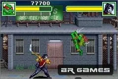 Teenage Mutant Ninja Turtles