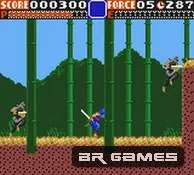 Ninja Gaiden