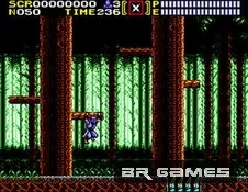 Ninja Gaiden