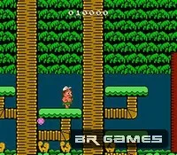 Adventure Island 2