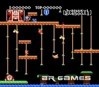 Donkey Kong Jr.