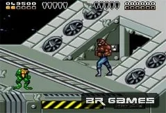 Battletoads & Double Dragon