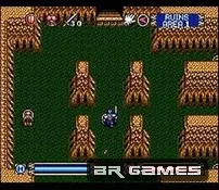 Brandish