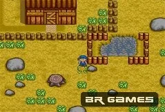 Harvest Moon
