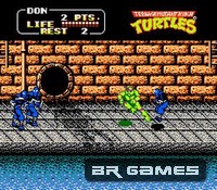 Teenage Mutant Ninja Turtles 2