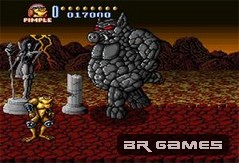 Battletoads in Battlemaniacs