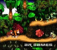 Donkey Kong Country